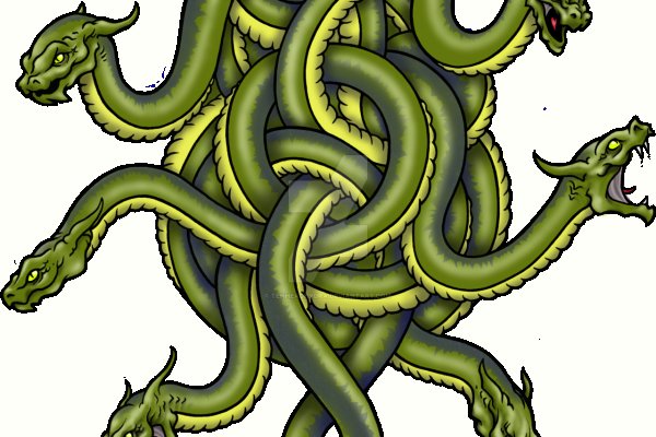 Kraken url