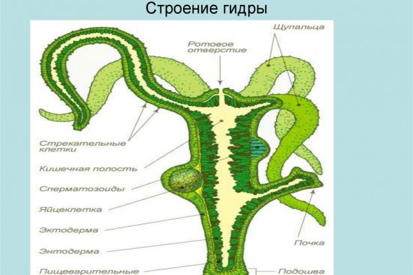 Реальная ссылка кракен